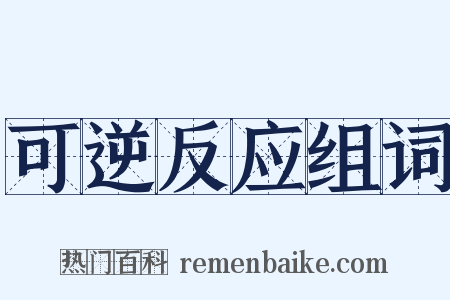 可逆反应组词是什么意思的图片